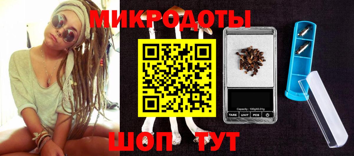 Псилоцибиновые грибы Psilocybine cubensis Сорочинск