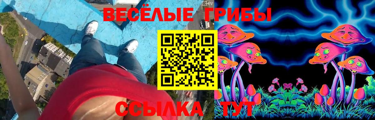 Псилоцибиновые грибы GOLDEN TEACHER  Вход с VPN  Сорочинск 